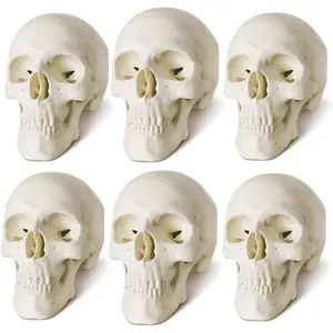 Mini Skull Model, 6 Part Anatomical Skull is 3.5" Tall, with Removable Skull Cap and Moving Jaw, Includes Full Set of Teeth, (6set) Fun Halloween Decorations