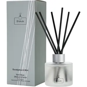 Eucalyptus & Mint Reed Diffuser Set, Home Fragrance Oil Diffuser with 8 Sticks for Room, 3.4 oz/100 ml
