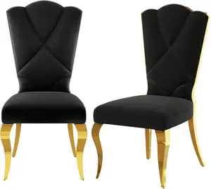 AUZ Black Velvet Dining Chairs with Gold Carbriole Metal Legs, Luxury High Back Kitchen Chairs for Dining Room, Set of 2