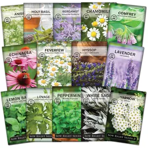 Large Medicinal Herb Collection herb seed