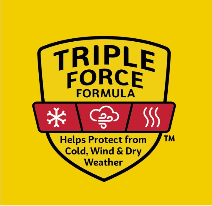 Carmex Classic Medicated Lip Balm Sticks, Lip Moisturizer for Chapped Lips, 9 Count (3 Packs of 3) Cocoa Moisturizing