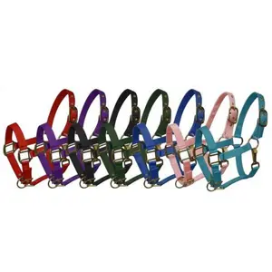 Pony Triple Ply Nylon Halter