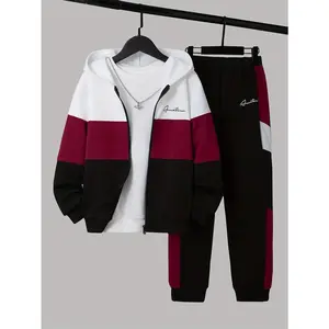 2pcs Tween Boy Letter Graphic Colorblock Zip Up Hooded Jacket & Sweatpants Without Tee Sports Long Sleeve Top Printed Sweatshirt And Sweatpants Set Long Letter Graphic Waist Pants Outfit Casual Knit Set For Young Boys