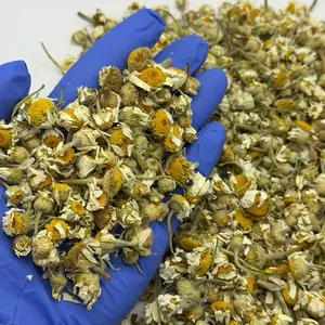 PULSEGLU Chamomile Flowers Whole | Matricaria Camomilla | Wildcrafted | (2 Oz) Tea Seed | Natural Sleep Support | Manzanilla, Camomille