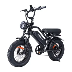 Off-Road Electric Bike | Outdoor Adventure & Urban Commuting | 1000W Motor | 50 Miles Range | 21 MPH | Front Suspension