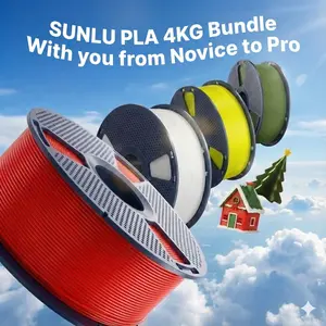 SUNLU 4kg PLA/PLA+  3D Printer Filament Bundle Multicolor, Neatly Wound PLA Filament 1.75mm ±0.02mm, Individually Vacuum Packed, 4kg in Total, 1kg per Spool, 4 Pack, 4000g