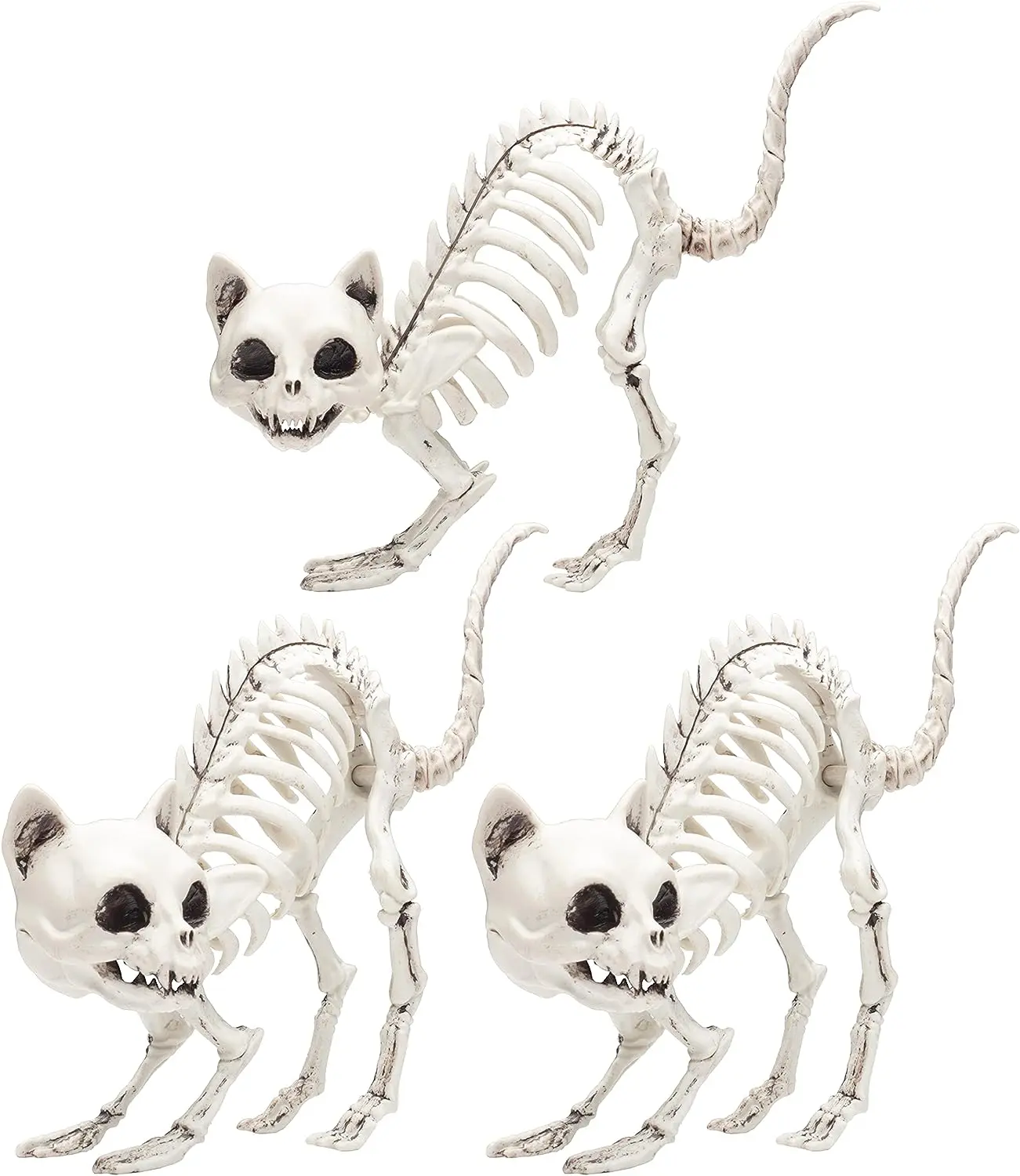 Kitten Skeleton Decoration (3 Pack)-7.5" Long-Weather Resistant - Upgrade Your Graveyard Haunted House Party Props, Trick-or-Treat Decor, School Classroom
