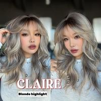 Blonde Highlight