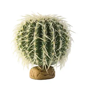 Exo Terra Barrel Cactus Terrarium Plant