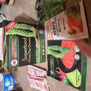 Longevity Dehydrated Sea Grapes 6 Packs of 4.23 oz Green Caviar Umibudo Latok Seaweed Organic Premium Quality Crunchy Flavor Superfood From The Ocean