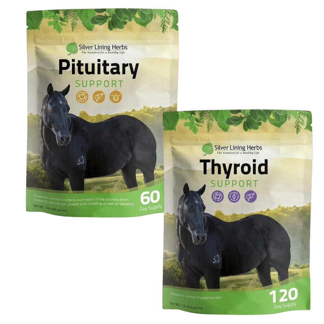 Metabolic Bundle for Horses