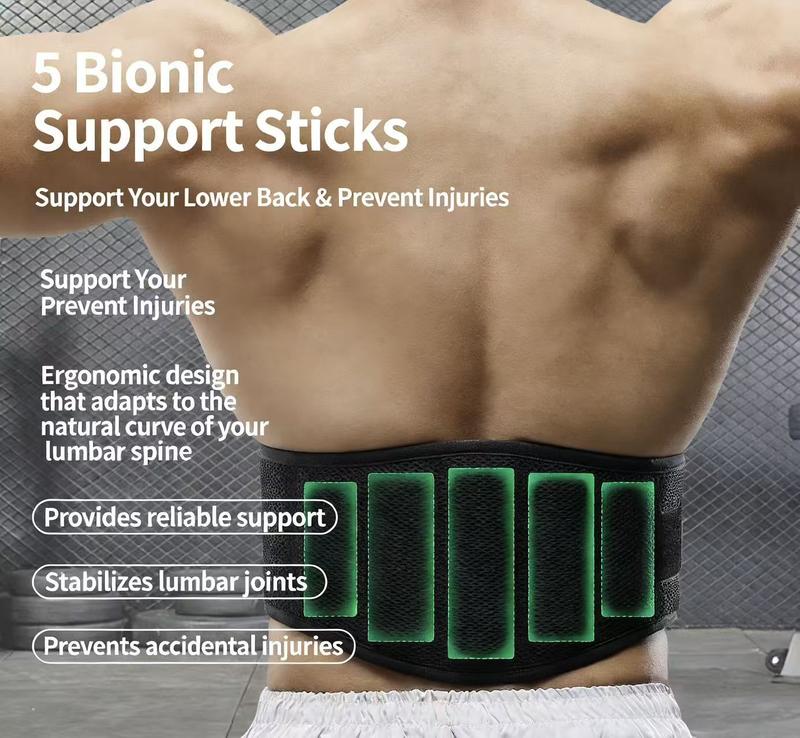 Support waist trainer beltsweat elastic waistband commercial gym PremiumTrimmer Belt for Fitness Gym Essential Muscle TrainingEquipment Adjustable Weight Lifting Belt with Double D-ring Buckle for Squats Dumbbell & Barbell F Control Waist Trainer Tummy