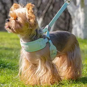 Adjustable Breathable Dog Harness Vest - Comfortable No-Pull Control for Outdoor Adventures & Safe Walks