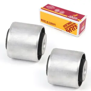 Front Lower Outer Control Arm Bushing Kit 95533MT