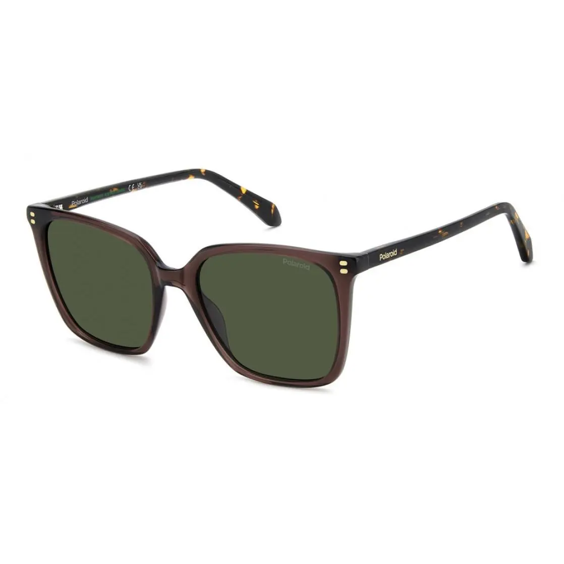 Polaroid Core PLD4201 Sunglasses