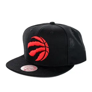 Mitchell & Ness Black NBA Toronto Raptors Team Ground 2.0 Snapback