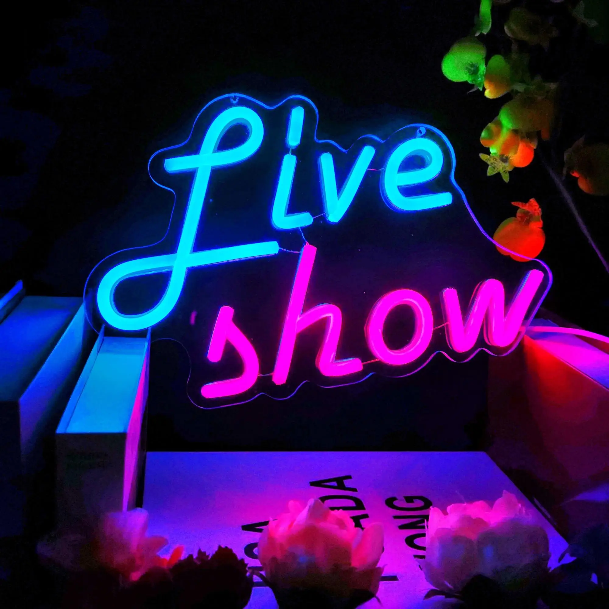 Live Show Letter Design Neon Sign, USB Powered LED Neon Light, Decorative Neon Wall Light For Music Studio, Recording Studio, Party, Club, Podcast Wal