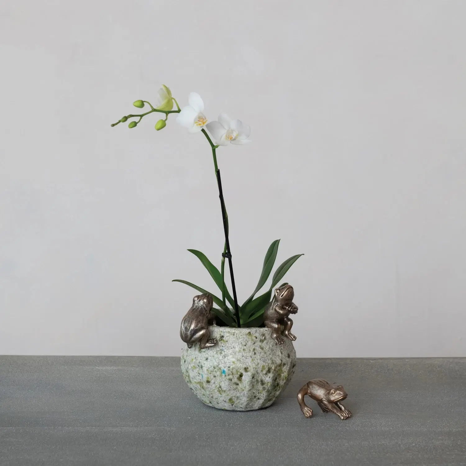 Frog Pot Hanger