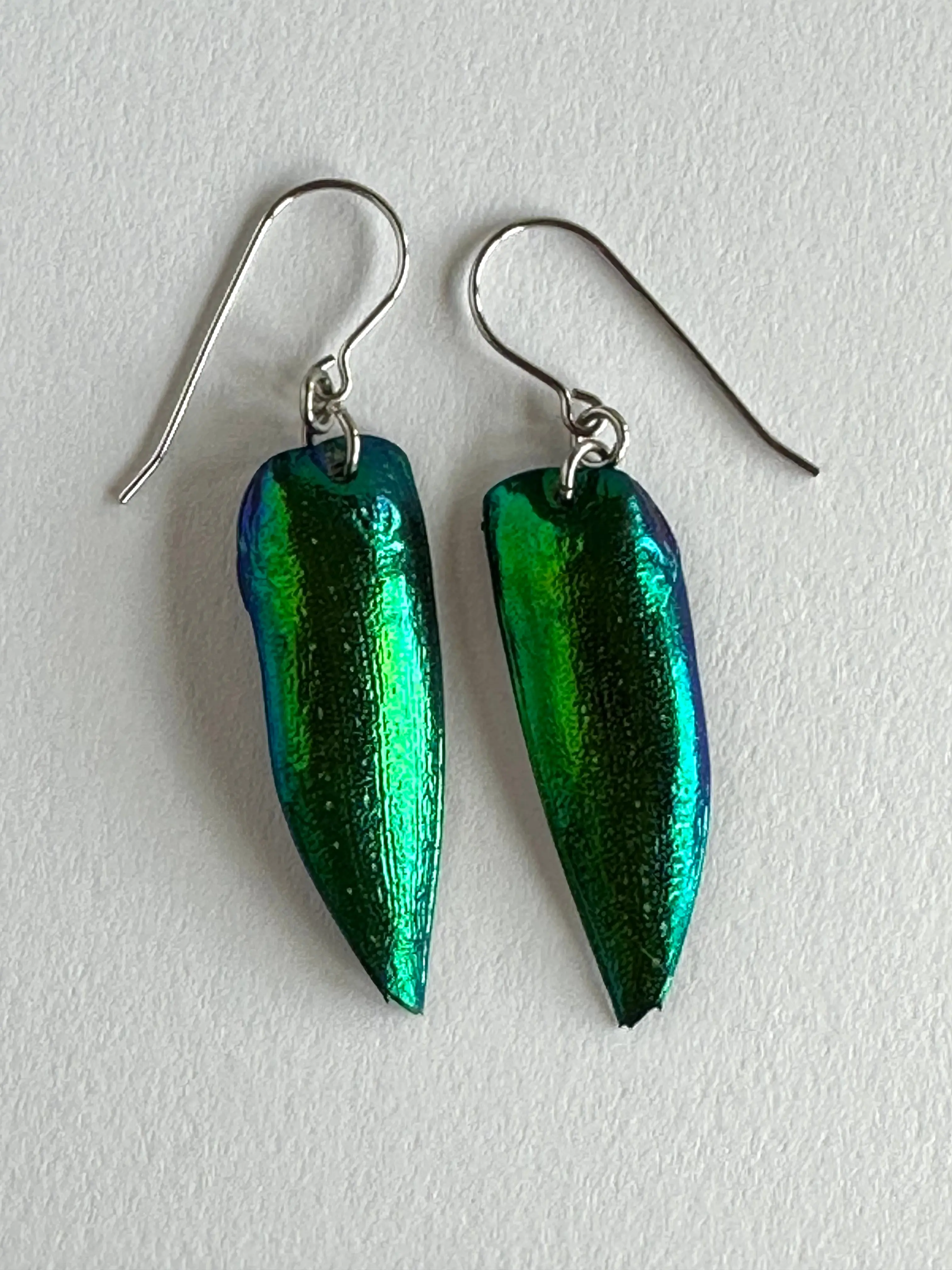 Single Earrings made from Elytra Beetles with Surgical Steel