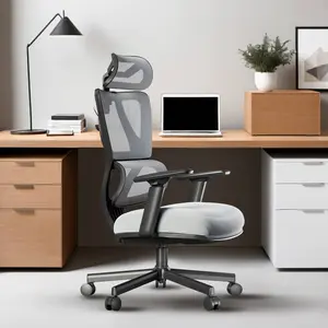 ProtoArc EC100 Ergonomic Office Chair, Mesh Computer Modern Design Chair with Adaptive Lumbar Support, 2D Headrest, Adjustable Armrest, Back Pain Relief