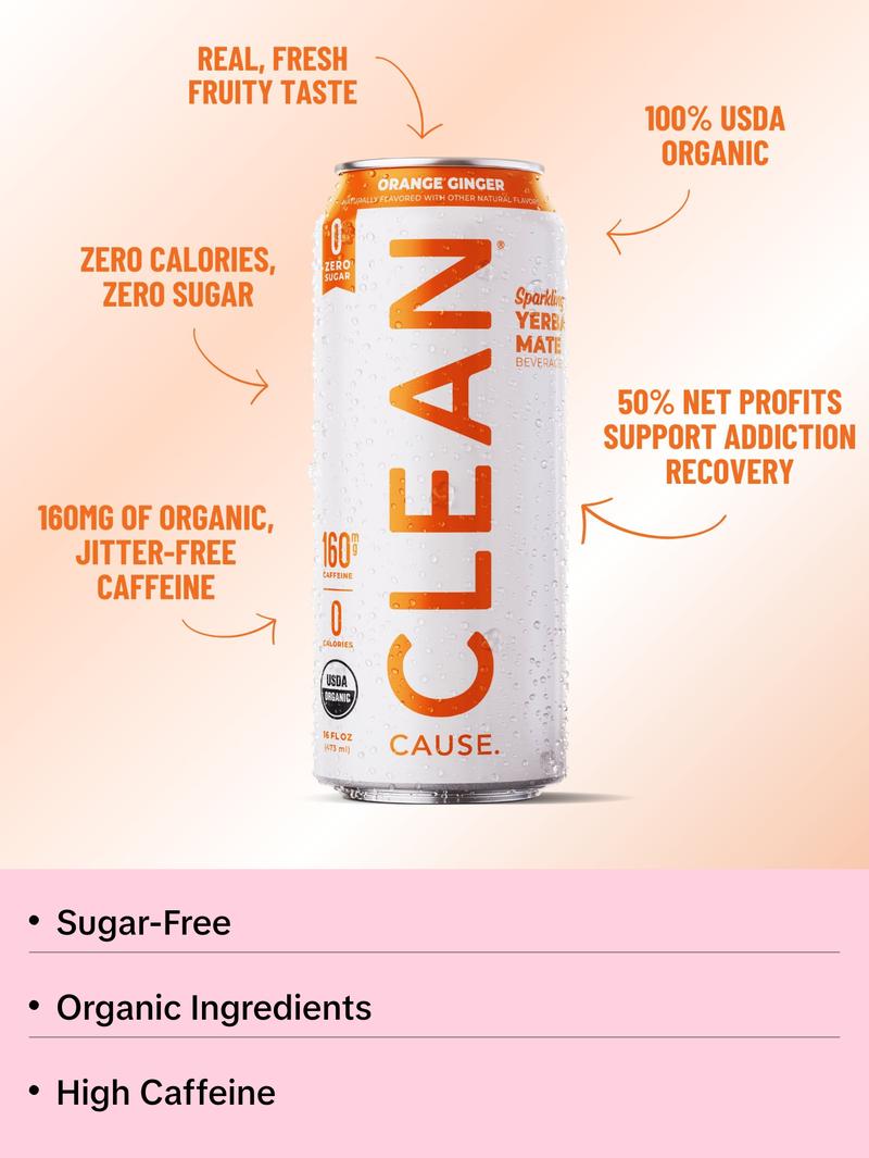 Orange Ginger Zero Calorie Organic Sparkling Yerba Mate Tea Beverage - Sugar-Free
