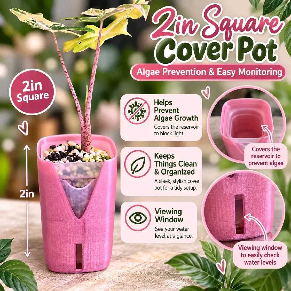 2-Pack 2in Square Pot Covers, No Insert Included