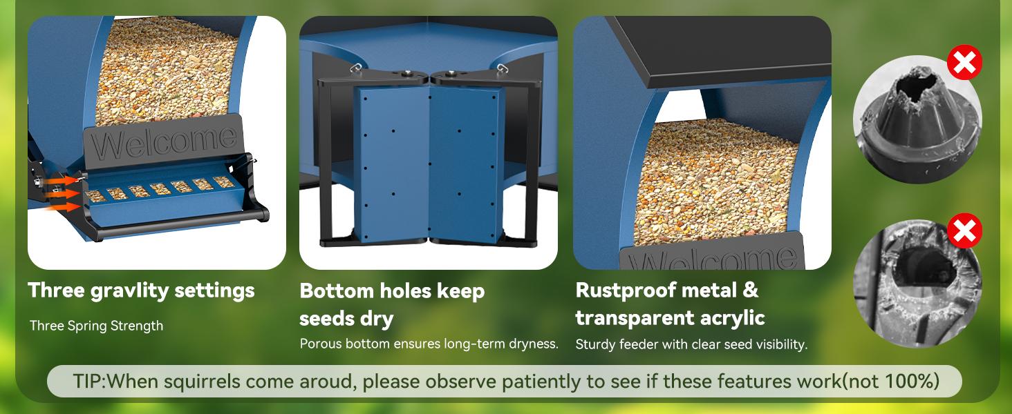 Wildpark 2 PACK Squirrel-Proof Bird Feeders – Durable, Vibrant Orange, Perfect for Cardinals & Chickadees – Ideal Gift for Bird Lovers, Moms & Grandmas