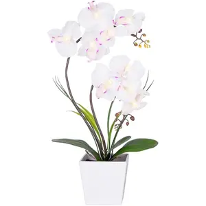 Homeseaons Orchid Lamp-LED Lighted Orchid Arrangements,Pre Lit Artificial Orchid,Light Up Flower Lights, Faux Orchid Phalaenopsis Arrangement (White)
