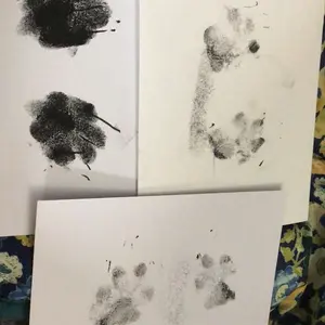 Nabance Extra Large Paw Print Kit for Dogs with 2 Inkless Ink Pads & 2 Patterned Photo Frames No Mess Design Personalized