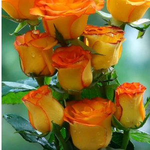 LoveBeautiful
