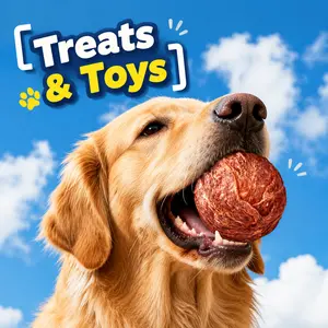[Treats+Toys]Dog Chew Ball Treats -Duck Jerky Dental Ball forSmall & Large Dogs-Durable Beef-Hide & Egg-Yolk ToyTreats,Natural Healthy Training Toys & Snacks,Dog Products,Cat Toys,Dog Toys,Dog Accessories