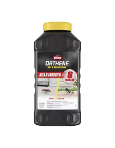 Ortho Orthene Ant and Roach Killer - Provides Long-Lasting Insect Control, Bug Killer for Indoor and Outdoor Use, 1 lb.