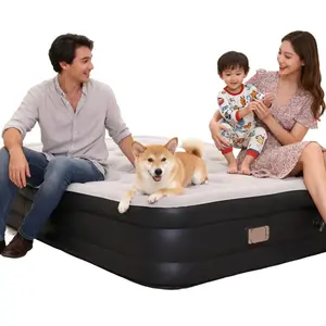 Queen Air Mattress with Built-in Pump - 16" Raised Inflatable Bed for Guests & Camping