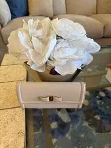 Pre-owned SALVATORE FERRAGAMO Leather Wallet Salvadore Ferragamo Cream Front Snap with Bow