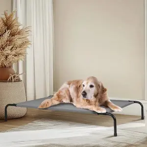 50D X 31W X 8H Dog Bed