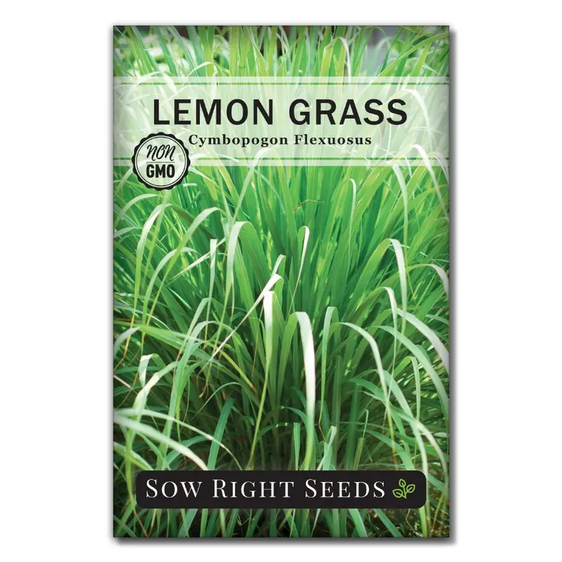 SOW RIGHT SEEDS Heirloom Lemongrass Garden Plant Seeds - 385-Count 1.2g Packet (200mg Content), Heat-Tolerant Upright Perennial Herb for Home Sunny Gardens, All Seasons, Ginger-Mint Aroma, Ideal for Asian Dishes