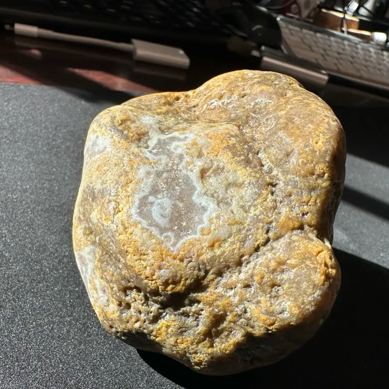 Huge Hand Collected Rough South Dakota Prairie Agate- Ghost Fairburn pattern! Might have something inside…