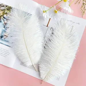 15pcs Artificial Ostrich Feathers 5.91-7.87" White Decorative Feathers for Home Party Birthday Holiday Crafts Elegant Decor