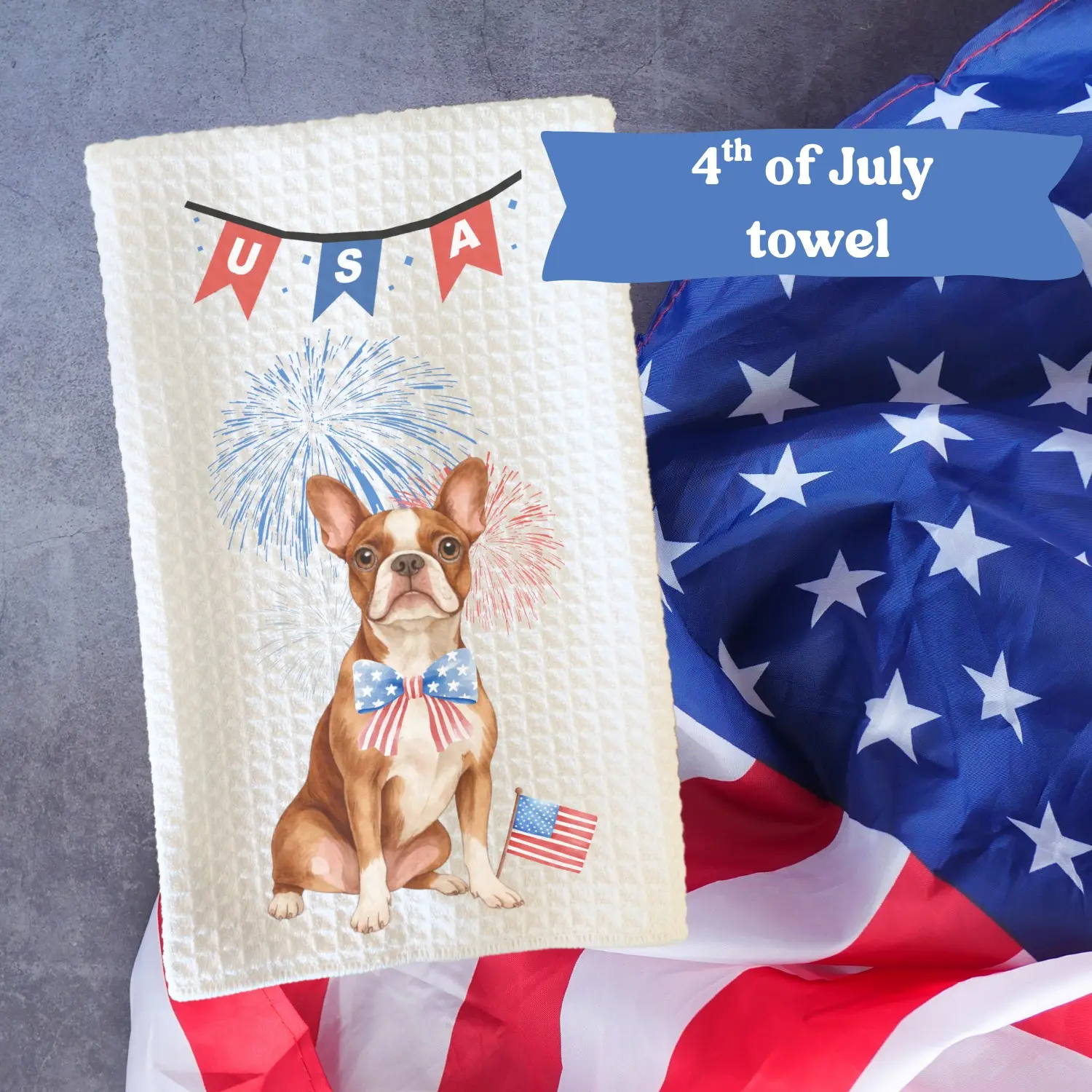 Boston terrier (BROWN/WHITE)