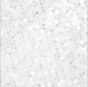 Carrara White Penny Round Marble Mosaic Polished/Honed Sample