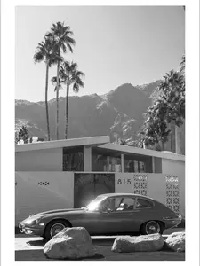 Palm Springs Ride Poster