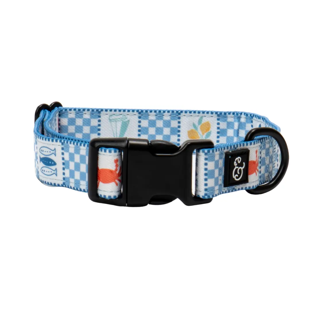 Sunny in Sicily Collar