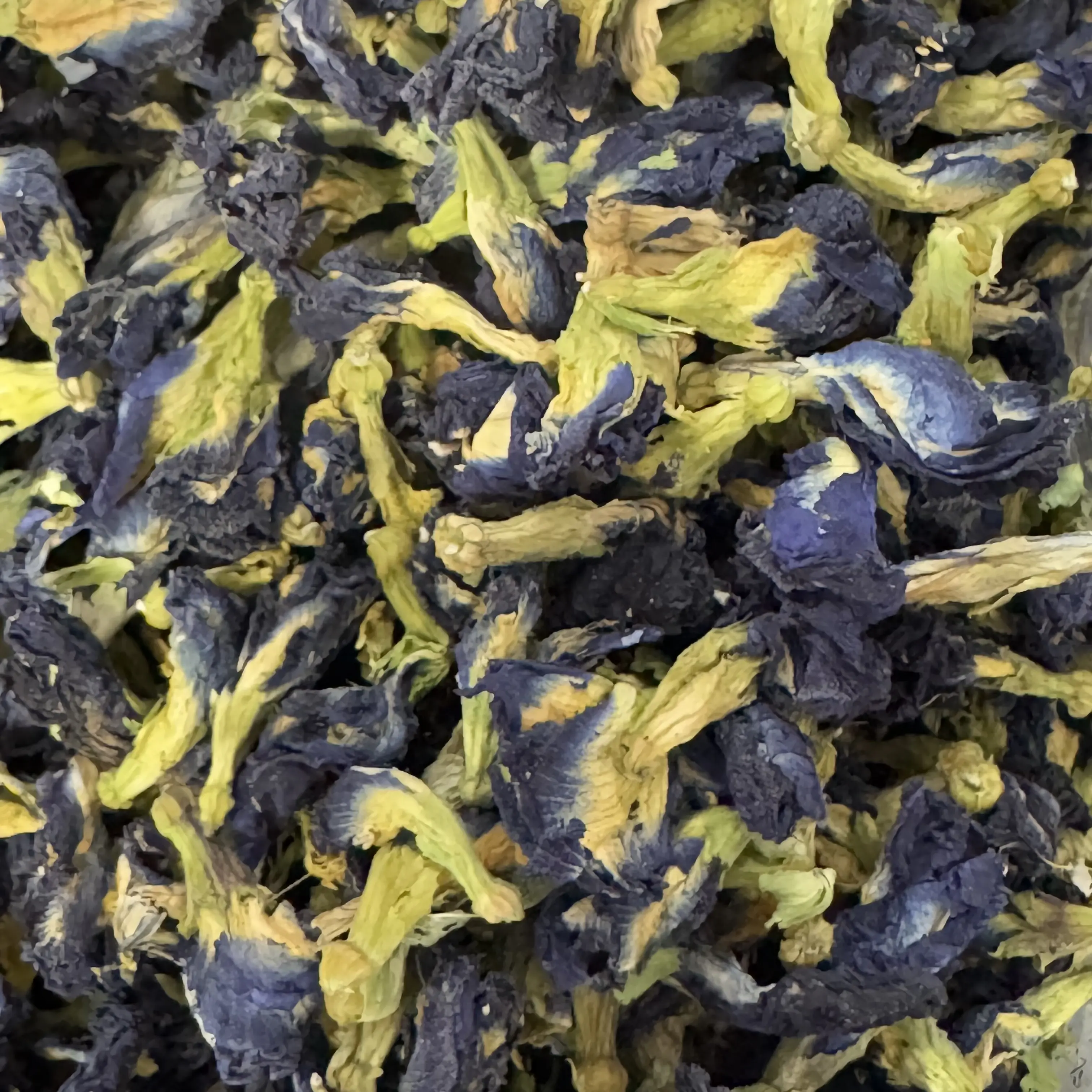 Butterfly Pea Flower