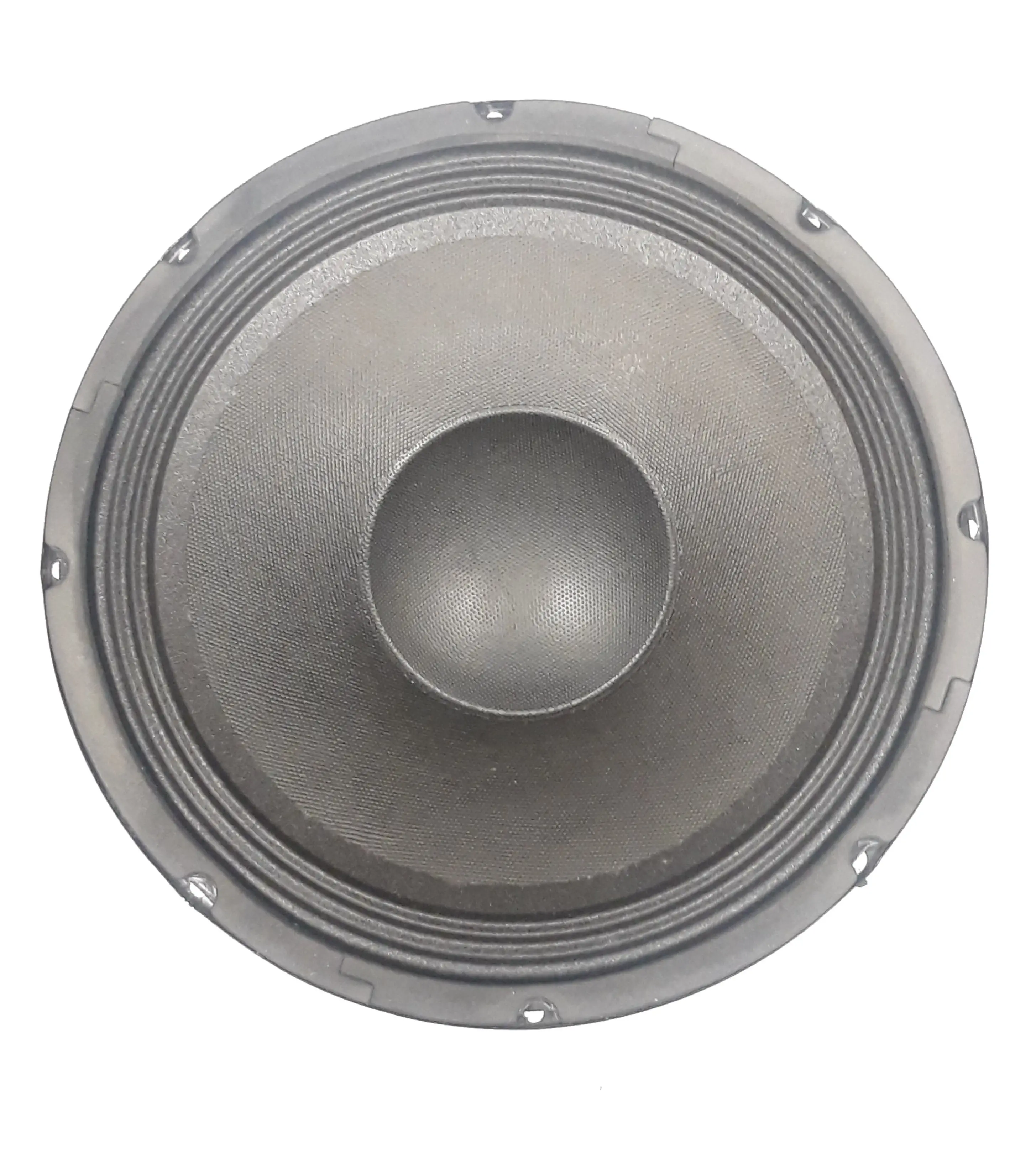 10" Raw Subwoofer for RPG2x10 10" Raw Subwoofer for RPG2x10