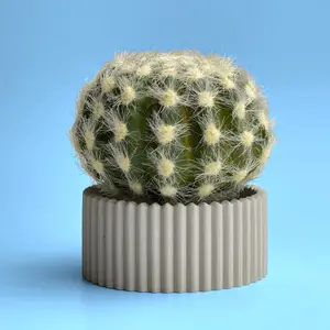 Scandinavian Air Plant Holder | Succulent Planter