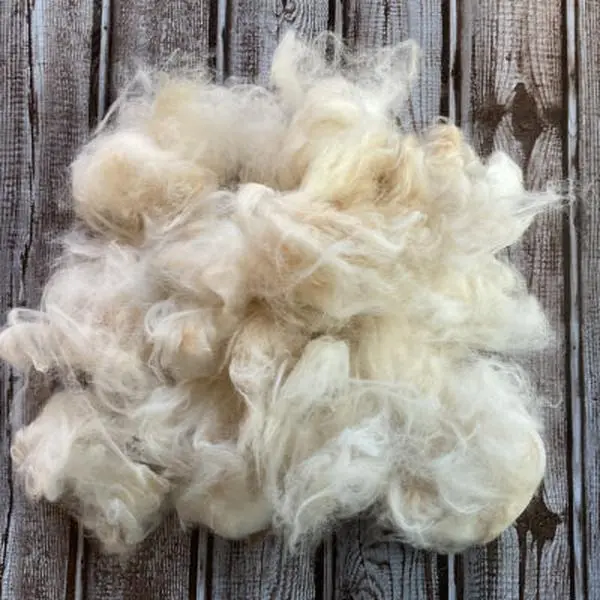 English Angora Fiber - Plucked, Soft and Fluffy, Natural Color, Ideal for Textiles and Crafting