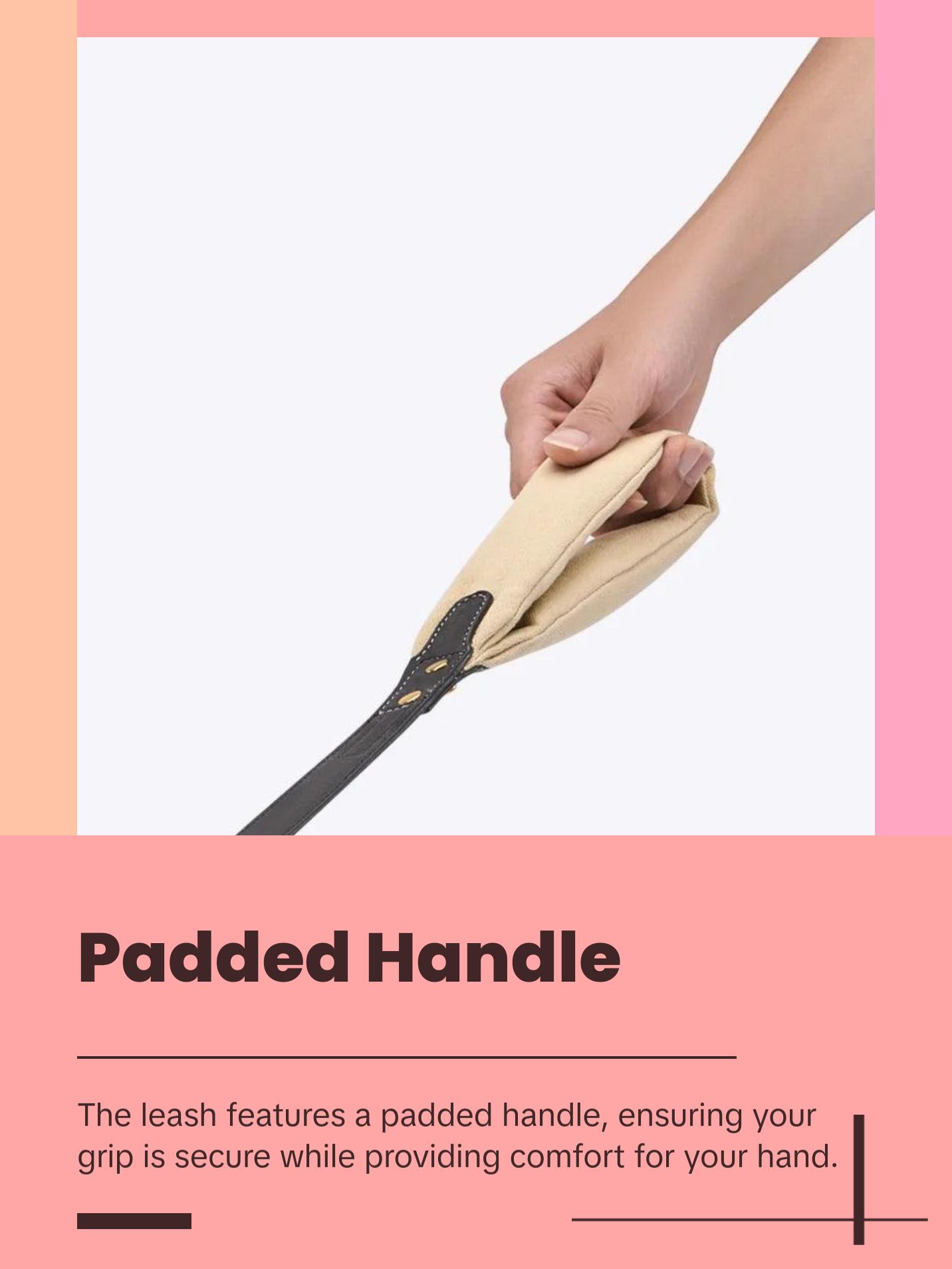 Luxury Leather Dog Collar & Leash with Padded Handle