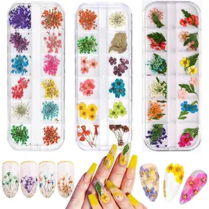 36 Colors Dried Flowers for Nail Art, 3 Box Dry Flowers Mini Real Natural Flowers Nail Art Supplies 3D Applique Nail Decoration Sticker Decor (A/C/E)