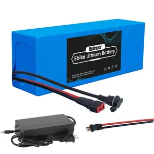 Bydrena 48V 10AH Rechargeable Lithium Battery 30A BMS 1500+ Cycles and T-Plug Universal Power Pack for Electric Scooters Ebike Bicycles Motorcycle Tricycle