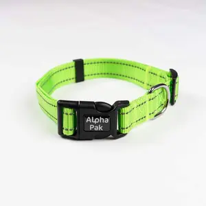 Alpha Pak Appalachian Kiwi Green Dog Collar